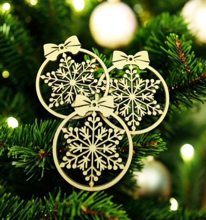 20241210_154338~2-Photoroom (2).jpg